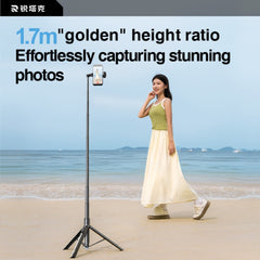 RTAKO - RZP001-AB226 Integrated selfie stick