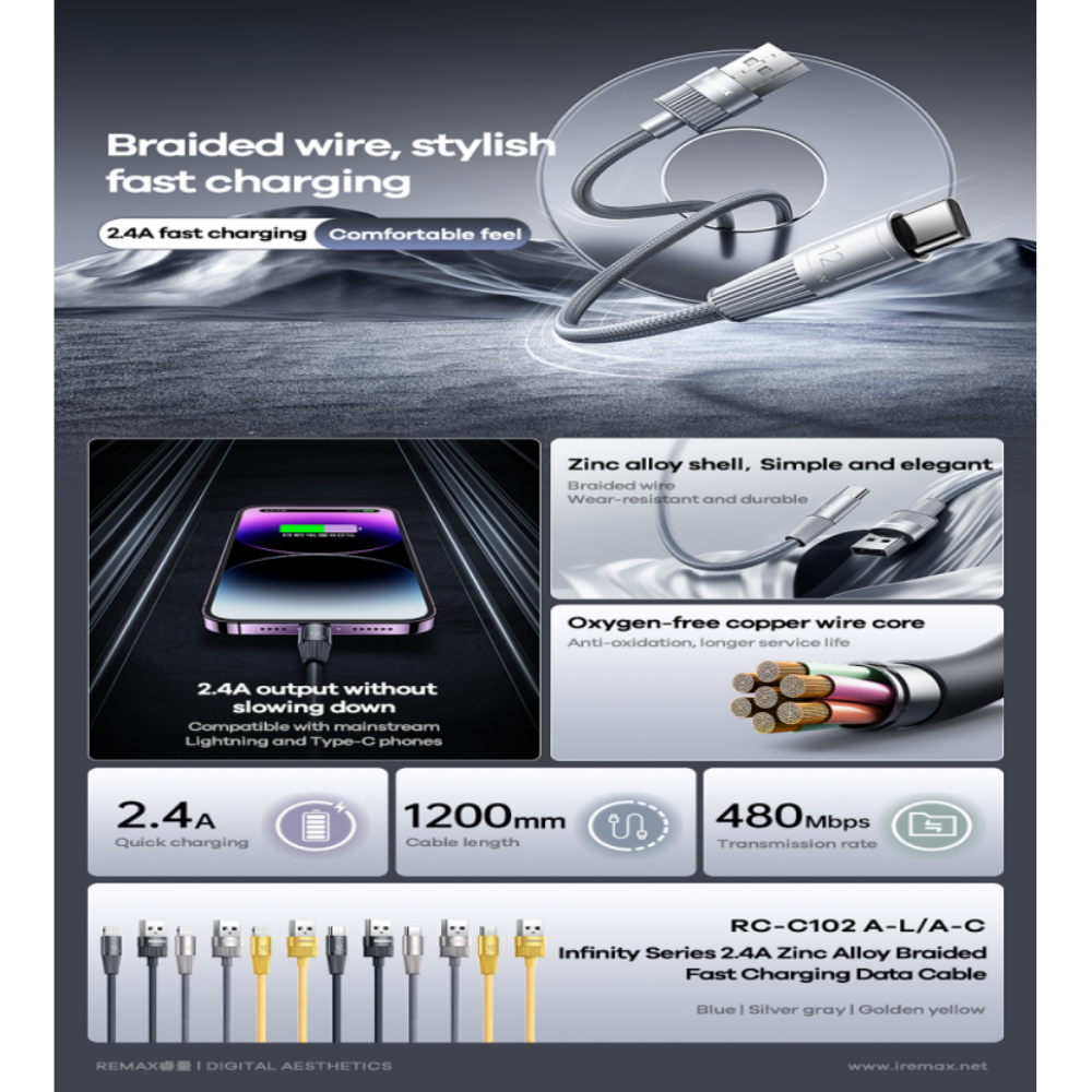 2.4A ( Type-C )-REMAX RC-C102A Infinity Series 2.4A USB to Type-C Fast Charging Data Cable - Gold