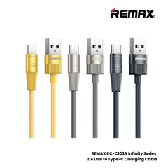 120W ( Type-C )-REMAX RC-C103A Infinity Series 120W USB to Type-C Fast Charging Data Cable - Silver Grey